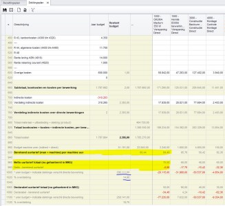 Budgetbewaking (NL)